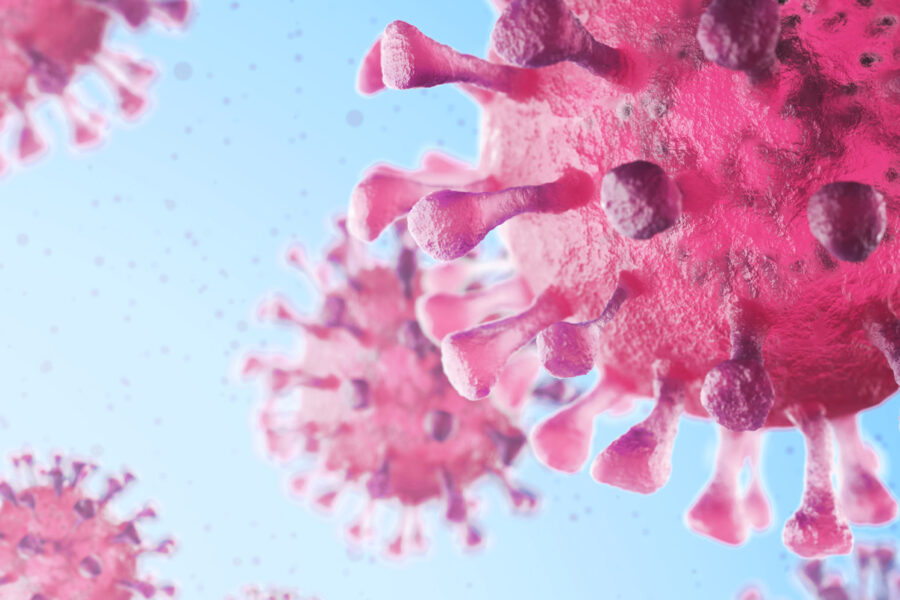 Information about coronavirus Information about coronavirus